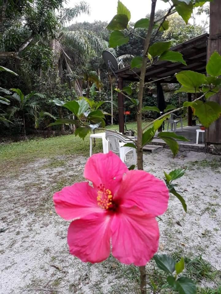 Recanto Da Kaka Hotel Ilha do Mel Eksteriør billede